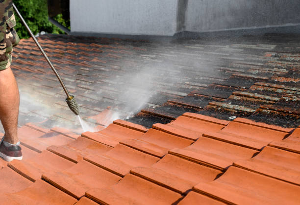 Best Best Pressure Washing Companies  in Oakland, FL