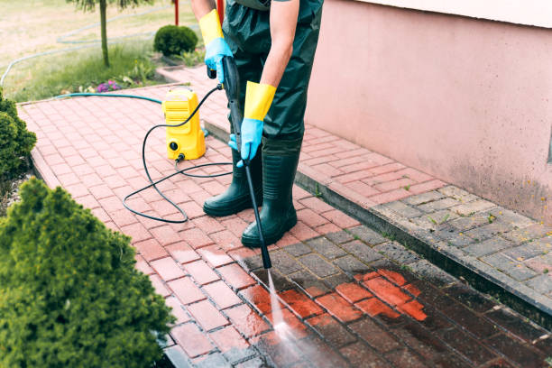 Best Roof Power Washing Services  in Oakland, FL